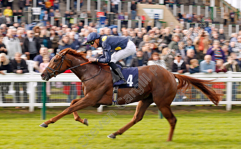 Dramatic-Queen-0003 
 DRAMATIC QUEEN (James Doyle) wins The Breeders Backing Racing EBF Fillies Novice Stakes Div1 Yarmouth 24 Oct 2017 - Pic Steven Cargill / Racingfotos.com