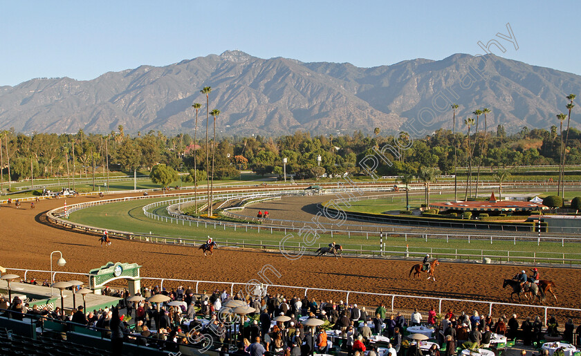 Santa-Anita-0002 
 Early morning training ahead of the Breeders' Cup
Santa Anita USA 31 Oct 2019 - Pic Steven Cargill / Racingfotos.com