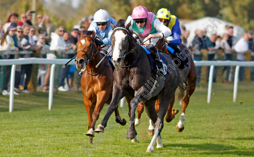 Nightwalker-0003 
 NIGHTWALKER (Ryan Moore) wins The EBF Future Stayers Maiden Stakes
Yarmouth 18 Sep 2024 - Pic Steven Cargill / Racingfotos.com