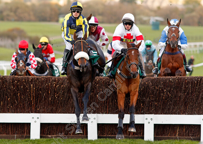 Sonneofpresenting-and-Minellacelebration-0002 
 SONNEOFPRESENTING (left, David Bass) with MINELLACELEBRATION (right, Ben Poste) Cheltenham 28 Oct 2017 - Pic Steven Cargill / Racingfotos.com