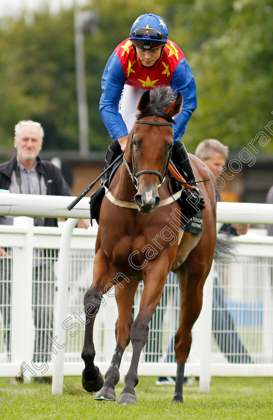 Minnamoolka-0001 
 MINNAMOOLKA (Thore Hammer Hansen)
Salisbury 2 Sep 2021 - Pic Steven Cargill / Racingfotos.com