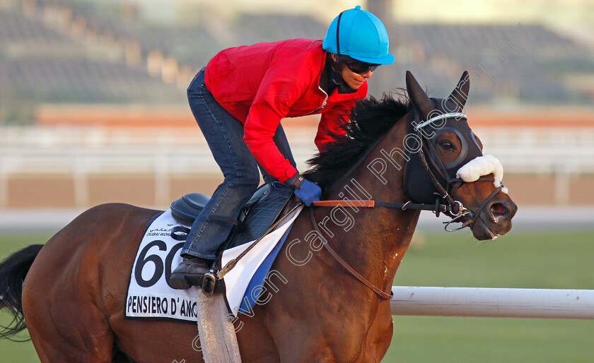 Pensiero-D Amore-0001 
 PENSIERO D'AMORE exercising for trainer Marco Botti
Meydan, Dubai, 3 Feb 2022 - Pic Steven Cargill / Racingfotos.com