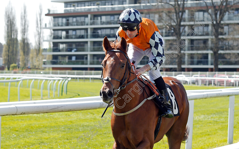 Thegreatestshowman-0001 
 THEGREATESTSHOWMAN (Dougie Costello) Newbury 20 Apr 2018 - Pic Steven Cargill / Racingfotos.com