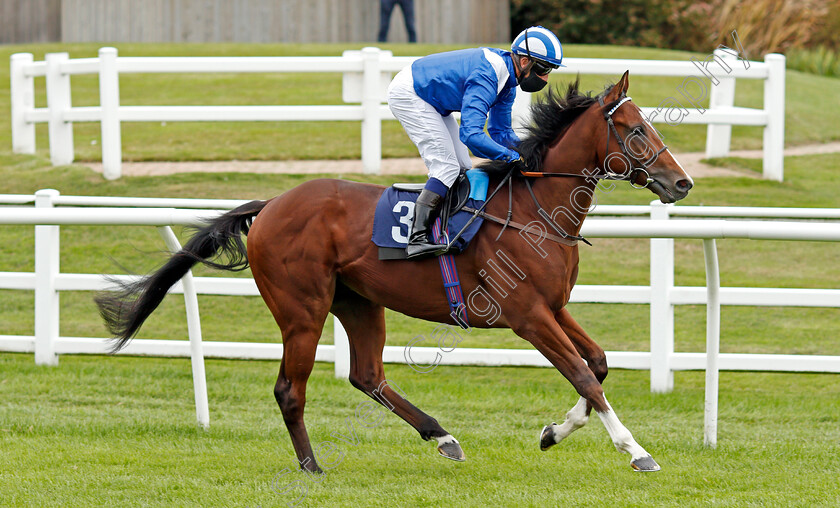 Asadjumeirah-0001 
 ASADJUMEIRAH (Jim Crowley)
Lingfield 2 Sep 2020 - Pic Steven Cargill / Racingfotos.com