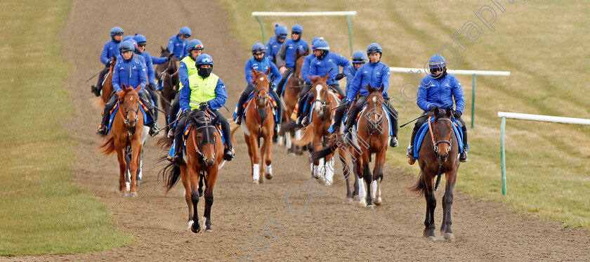 Newmarket-0008 
 A string of racehorses from Godolphin walk back to their stables after exercising on Warren Hill Newmarket 23 Mar 2018 - Pic Steven Cargill / Racingfotos.com