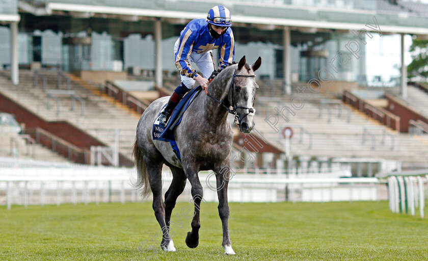 Belloccio-0001 
 BELLOCCIO (David Egan) 
York 13 May 2021 - Pic Steven Cargill / Racingfotos.com