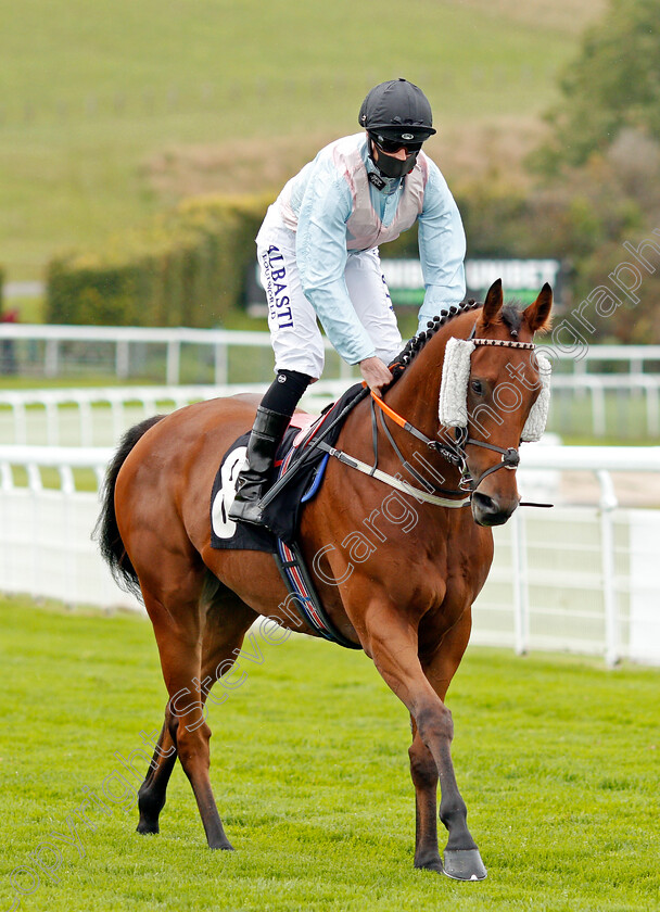 The-Lamplighter-0002 
 THE LAMPLIGHTER (Jack Mitchell) before winning The tote.co.uk Home Of The Placepot Handicap
Goodwood 23 Sep 2020 - Pic Steven Cargill / Racingfotos.com