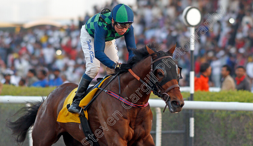 Cherkes-Pharoah-0006 
 CHERKES PHAROAH (Tadhg O'Shea) wins The Newbury Racecourse Maiden Jebel Ali 26 Jan 2018 - Pic Steven Cargill / Racingfotos.com