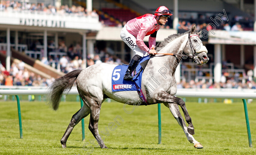 Misty-Grey-0002 
 MISTY GREY (Richard Kingscote)
Haydock 28 May 2022 - Pic Steven Cargill / Racingfotos.com