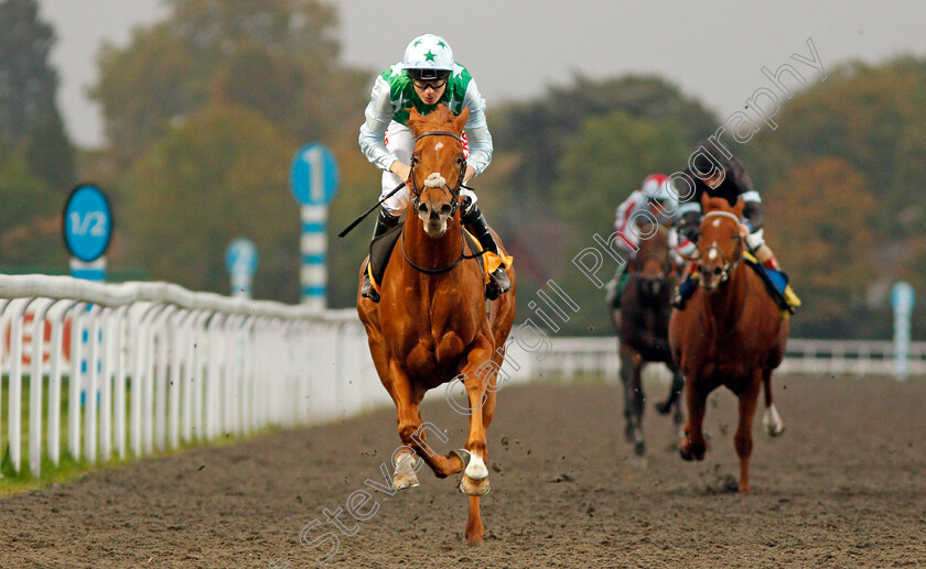 Glendevon-0010 
 GLENDEVON (Jamie Spencer) wins The 32Red British Stallion Studs EBF Novice Stakes Kempton 11 Oct 2017 - Pic Steven Cargill / Racingfotos.com