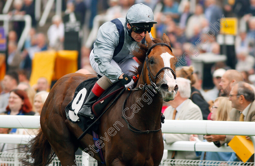 Lunar-Jet-0005 
 LUNAR JET (Jimmy Quinn) wins The Fuller Smith & Turner Plc Handicap Goodwood 27 Sep 2017 - Pic Steven Cargill / Racingfotos.com