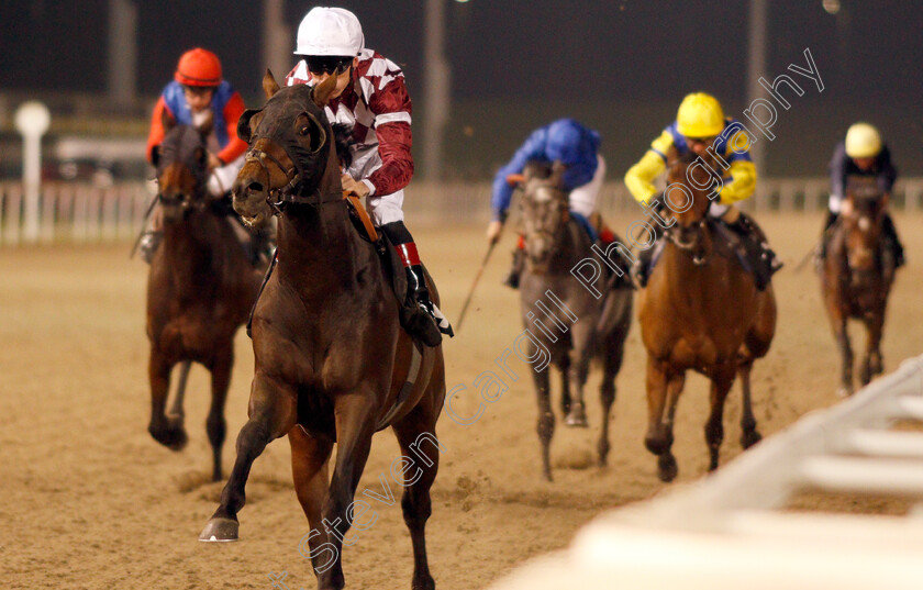 Summeronsevenhills-0002 
 SUMMERONSEVENHILLS (Shane Kelly) wins The Bet toteexacta At totesport.com Nursery
Chelmsford 19 Nov 2019 - Pic Steven Cargill / Racingfotos.com