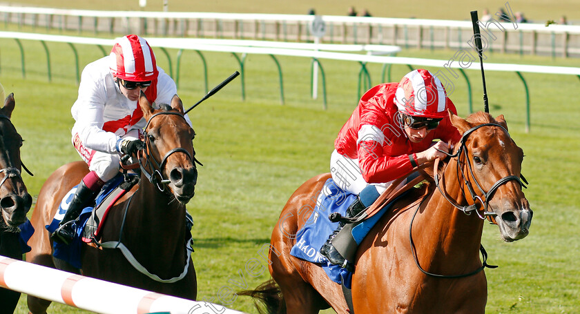 Daahyeh-0002 
 DAAHYEH (William Buick) wins The Shadwell Rockfel Stakes
Newmarket 27 Sep 2019 - Pic Steven Cargill / Racingfotos.com