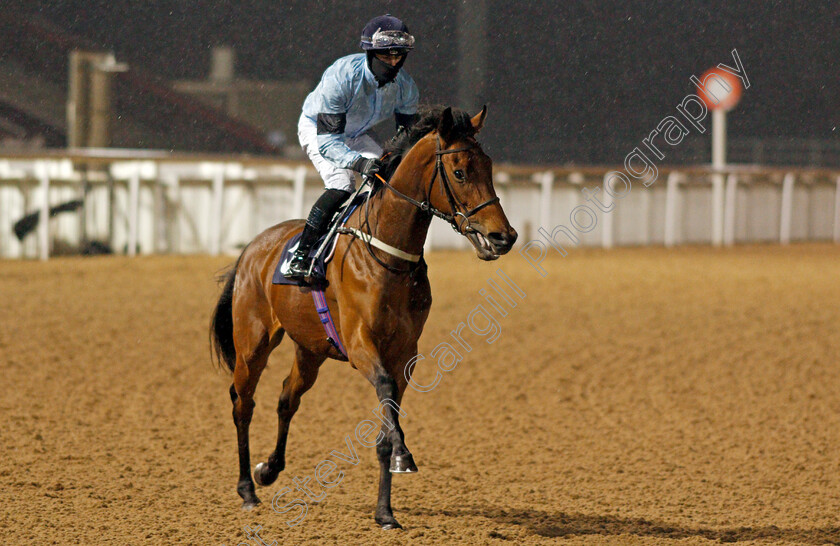 Petalite-0003 
 PETALITE (Richard Kingscote)
Wolverhampton 4 Jan 2021 - Pic Steven Cargill / Racingfotos.com