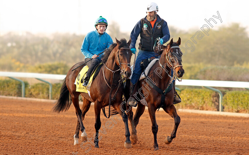 Trais-Fluors-0001 
 TRAIS FLUORS preparing for the Neom Turf Cup
Riyadh Racetrack, Kingdom Of Saudi Arabia, 27 Feb 2020 - Pic Steven Cargill / Racingfotos.com