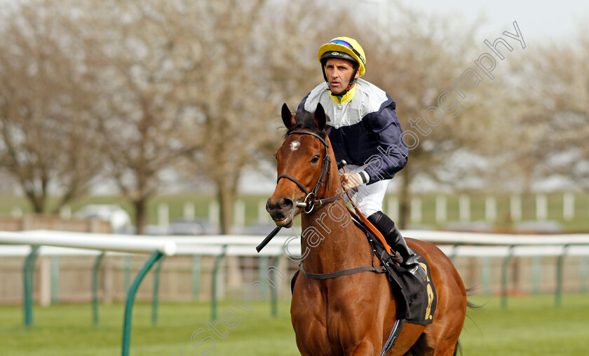 Ribbon-Rose 
 RIBBON ROSE (Neil Callan)
Newmarket 12 Apr 2022 - Pic Steven Cargill / Racingfotos.com