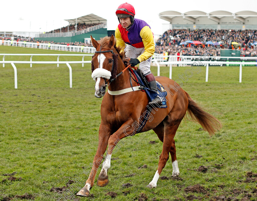 Native-River-0001 
 NATIVE RIVER (Richard Johnson) before The Timico Cheltenham Gold Cup Cheltenham 16 mar 2018 - Pic Steven Cargill / Racingfotos.com