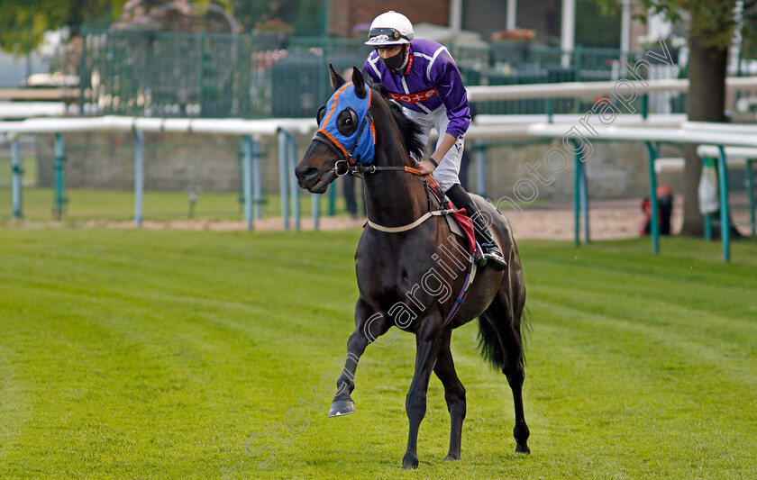 Dark-Defender-0001 
 DARK DEFENDER (Louis Steward)
Haydock 28 May 2021 - Pic Steven Cargill / Racingfotos.com