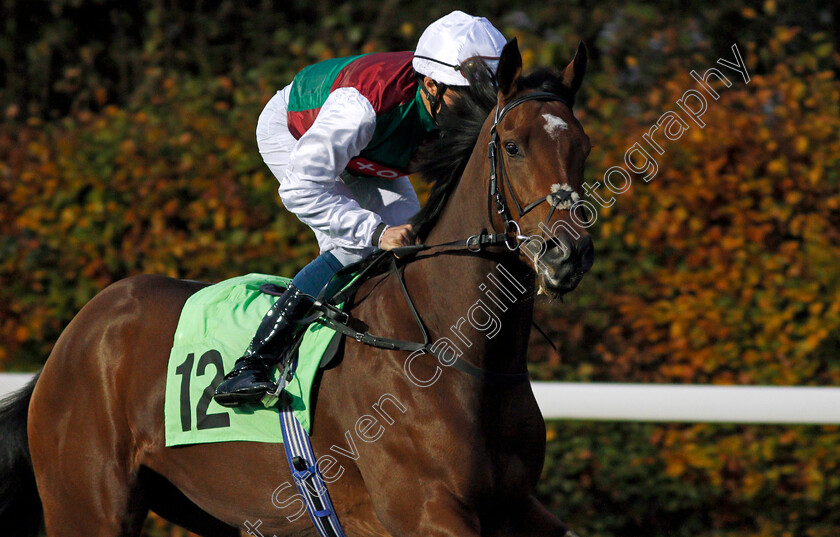 Borrowed-Angel-0002 
 BORROWED ANGEL (William Buick)
Kempton 11 Nov 2020 - Pic Steven Cargill / Racingfotos.com