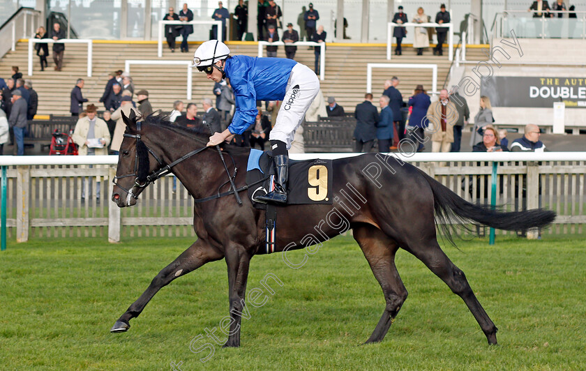 Delphinus 
 DELPHINUS (Kieran Shoemark)
Newmarket 20 Oct 2021 - Pic Steven Cargill / Racingfotos.com