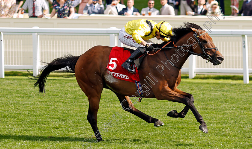 Elnajmm-0001 
 ELNAJMM (Tom Marquand) wins The Betfred Handicap
Ascot 27 Jul 2024 - Pic Steven Cargill / Racingfotos.com