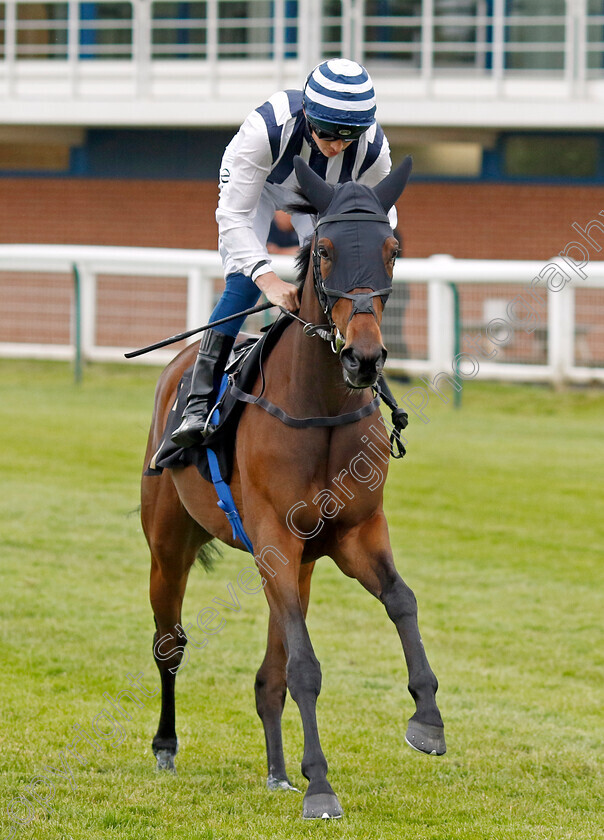 Minack-0001 
 MINACK (David Probert)
Nottingham 30 May 2023 - Pic Steven Cargill / Racingfotos.com