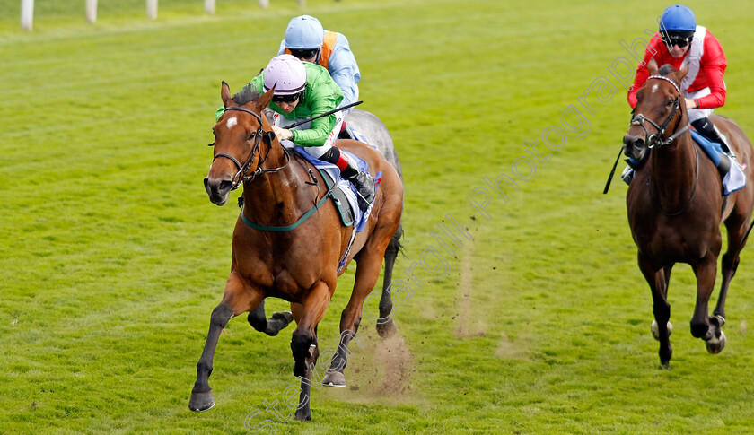 Breege-0004 
 BREEGE (Colin Keane) wins The Sky Bet City Of York Stakes
York 24 Aug 2024 - Pic Steven Cargill / Racingfotos.com