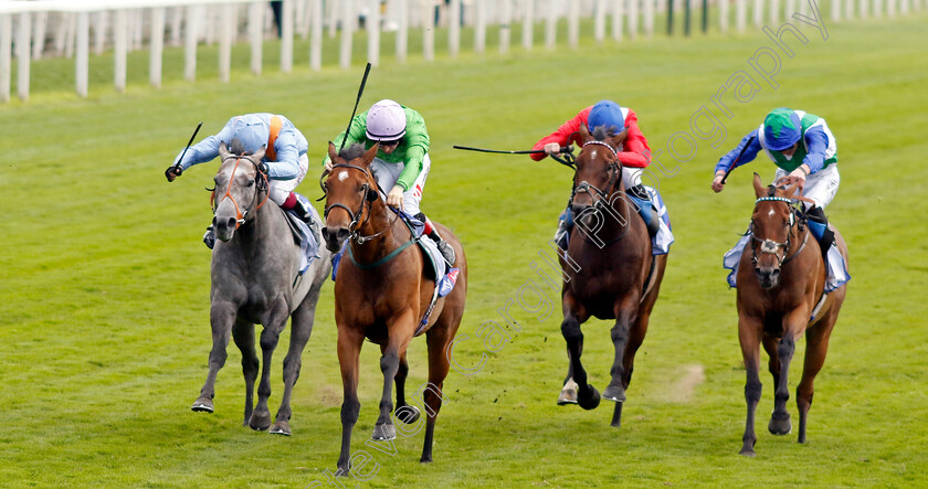 Breege-0006 
 BREEGE (2nd left, Colin Keane) beats SHOULDVEBEENARING (left) and VAFORTINO (right) in The Sky Bet City Of York Stakes
York 24 Aug 2024 - Pic Steven Cargill / Racingfotos.com