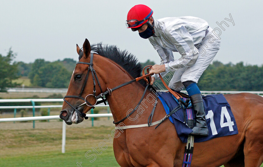 Lokal-Heroine-0001 
 LOKAL HEROINE (Daniel Muscutt)
Lingfield 14 Aug 2020 - Pic Steven Cargill / Racingfotos.com