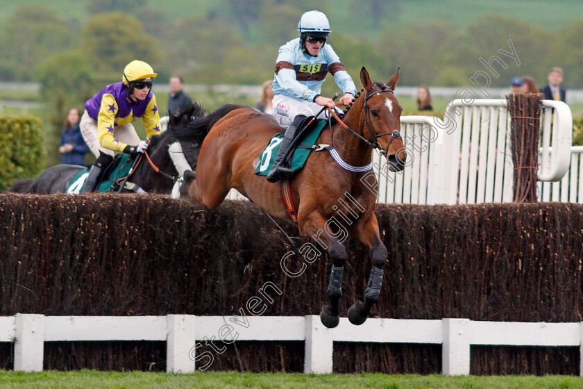 Hard-Station-0003 
 HARD STATION (Martin McIntyre) Cheltenahm 4 May 2018 - Pic Steven Cargill / Racingfotos.com