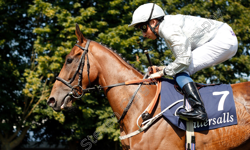 Threading-0002 
 THREADING (William Buick)
Newmarket 13 Jul 2018 - Pic Steven Cargill / Racingfotos.com