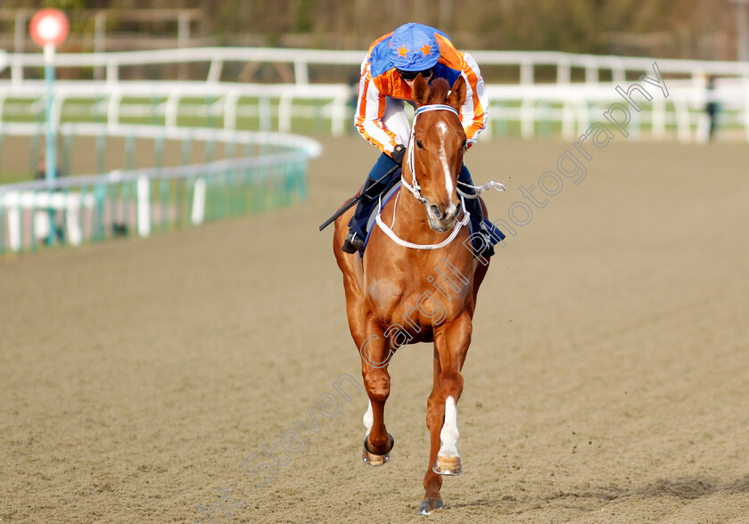 Orange-N-Blue-0002 
 ORANGE N BLUE (Callum Shepherd)
Lingfield 20 Jan 2024 - Pic Steven Cargill / Racingfotos.com