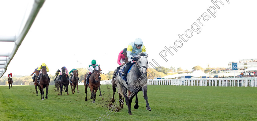 Charyn-0006 
 CHARYN (Silvestre de Sousa) wins The Queen Elizabeth II Stakes
Ascot 19 Oct 2024 - Pic Steven Cargill / Racingfotos.com