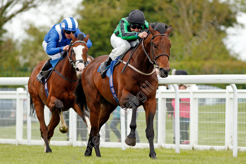 Billy-Ray-0006 
 BILLY RAY (Charles Bishop) beats ALMOGHARED (left) in The Betfred Treble Odds On Lucky 15's British EBF Maiden Stakes Salisbury 29 Apr 2018 - Pic Steven Cargill / Racingfotos.com