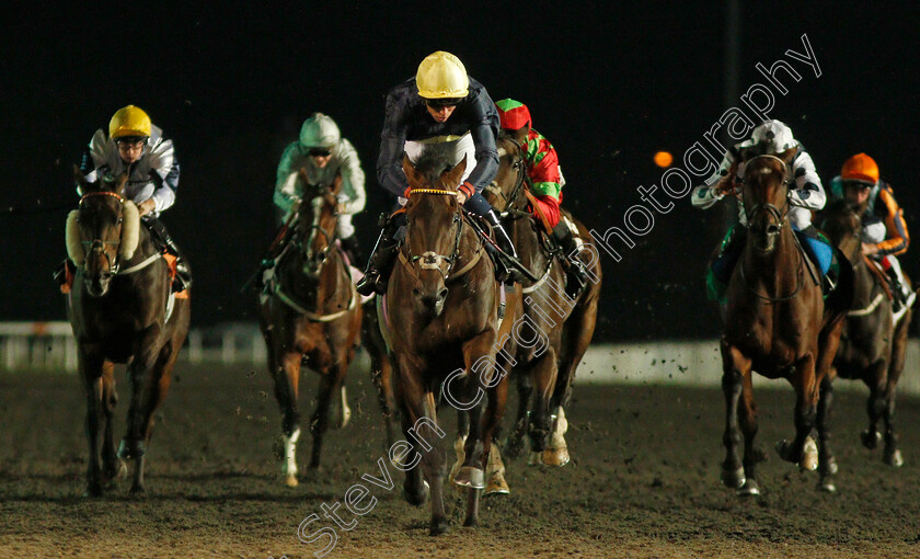 Ply-0002 
 PLY (Kieran Shoemark) wins The 100% Profit Boost At 32Redsport.com Handicap Kempton 4 Oct 2017 - Pic Steven Cargill / Racingfotos.com