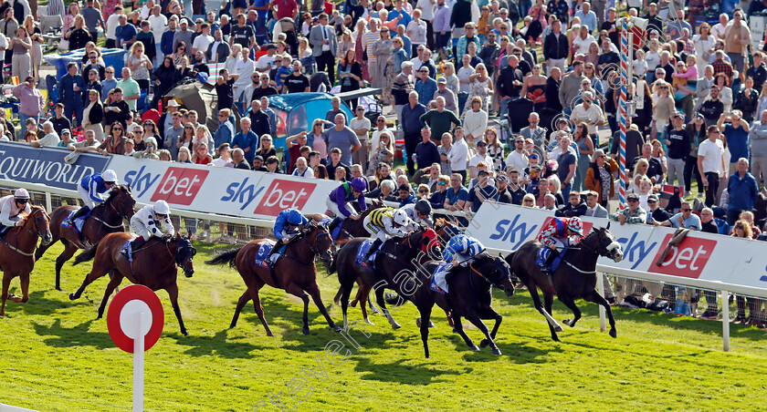 Elmonjed-0003 
 ELMONJED (Tom Marquand) wins The Sky Bet Constantine Handicap
York 24 Aug 2024 - Pic Steven Cargill / Racingfotos.com