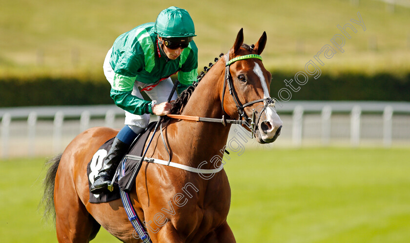 Some-Nightmare-0001 
 SOME NIGHTMARE (William Buick) winner of The Inkerman Handicap
Goodwood 22 Sep 2021 - Pic Steven Cargill / Racingfotos.com