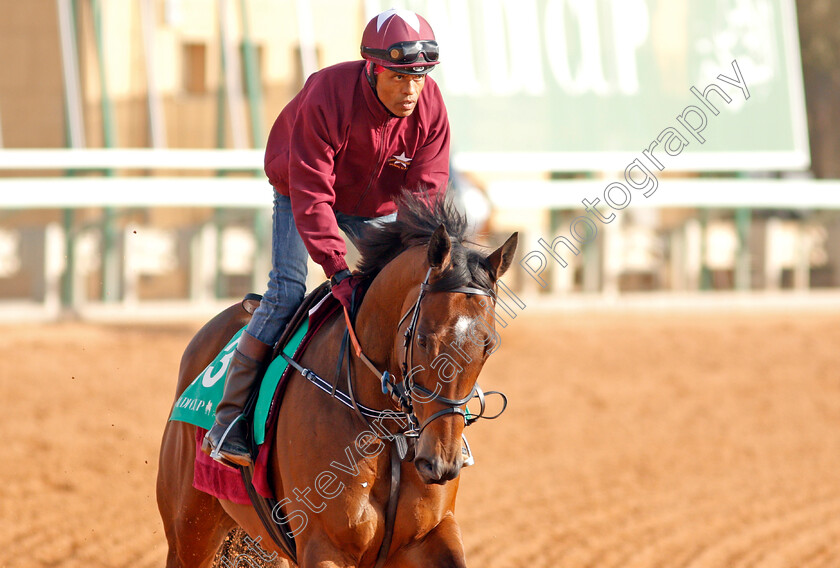 North-America-0002 
 NORTH AMERICA preparing for The Saudi Cup
Riyadh Racetrack, Kingdom Of Saudi Arabia, 27 Feb 2020 - Pic Steven Cargill / Racingfotos.com