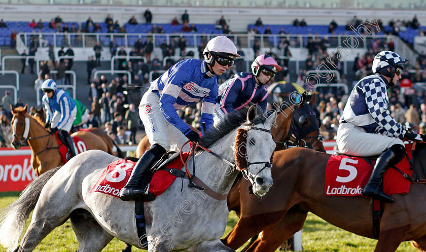 Golden-Son-0001 
 GOLDEN SON (Harry Cobden)
Kempton 22 Feb 2025 - Pic Steven Cargill / Racingfotos.com