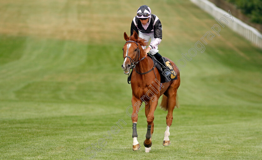 Bulleit-0002 
 BULLEIT (Kieran Shoemark)
Newmarket 22 Jul 2022 - Pic Steven Cargill / Racingfotos.com