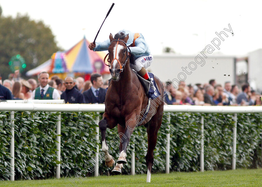 Leroy-Leroy-0003 
 LEROY LEROY (Andrea Atzeni) wins The Napoleons Casinos & Restaurants Nursery
Doncaster 15 Sep 2018 - Pic Steven Cargill / Racingfotos.com