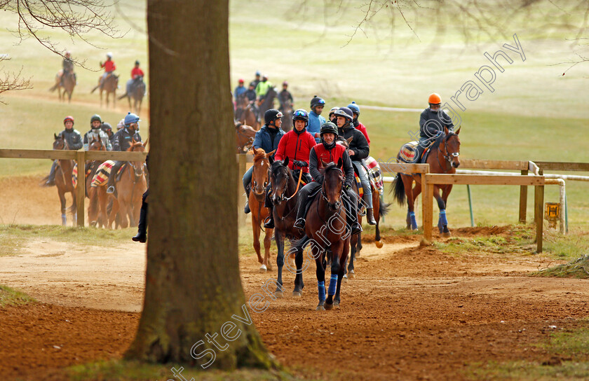 John-Gosden-0012 
 String of two year olds trained by John Gosden return from the gallops in Newmarket 23 Mar 2018 - Pic Steven Cargill / Racingfotos.com