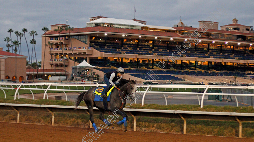 Arrogate-0011 
 ARROGATE training for The Breeders' Cup Classic at Del Mar 2 Nov 2017 - Pic Steven Cargill / Racingfotos.com