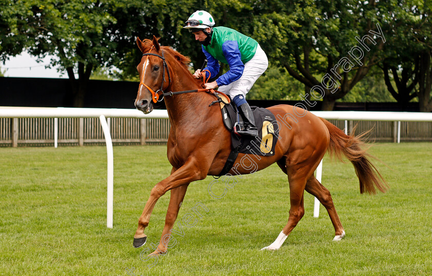 Walls-Of-Kano-0001 
 WALLS OF KANO (Martin Dwyer)
Newmarket 24 Jun 2021 - Pic Steven Cargill / Racingfotos.com