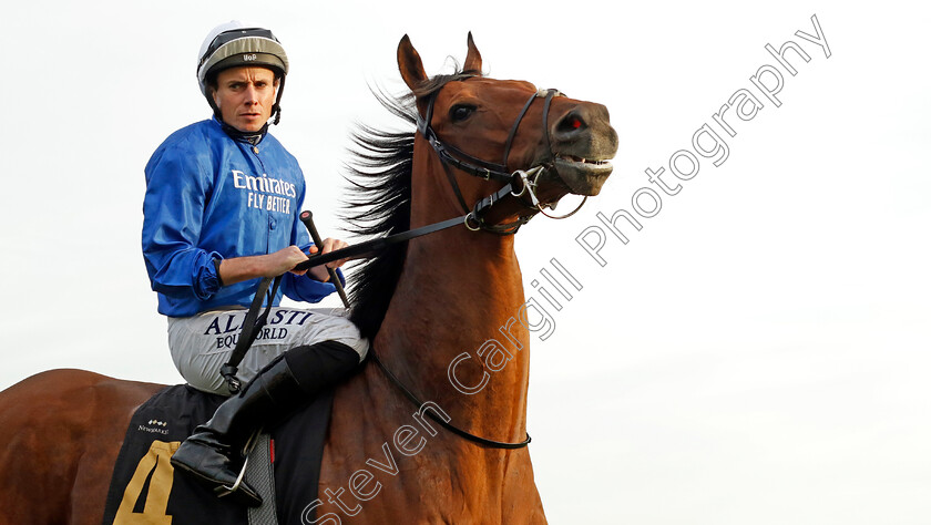 Ottoman-Fleet-0008 
 OTTOMAN FLEET (Ryan Moore) winner of The National Stud Welcomes Stradivarius James Seymour Stakes
Newmarket 29 Oct 2022 - Pic Steven Cargill / Racingfotos.com