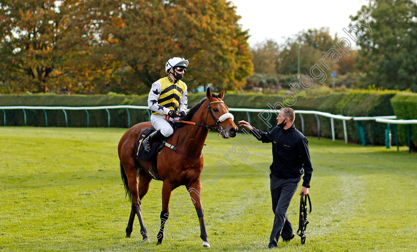 Dakota-Gold-0006 
 DAKOTA GOLD (Connor Beasley) after winning The Rous Stakes
Nottingham 14 Oct 2020 - Pic Steven Cargill / Racingfotos.com