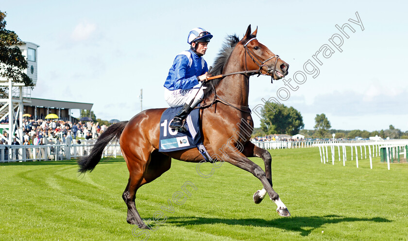 Talbeyah-0001 
 TALBEYAH (Dane O'Neill)
Yarmouth 15 Sep 2021 - Pic Steven Cargill / Racingfotos.com