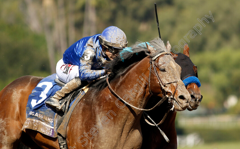 Cody s-Wish-0002 
 CODY'S WISH (left, Junior Alvarado) beats NATIONAL TREASURE (right, Flavien Prat) in The Breeders' Cup Dirt Mile
Santa Anita 4 Nov 2023 - Pic Steven Cargill / Racingfotos.com