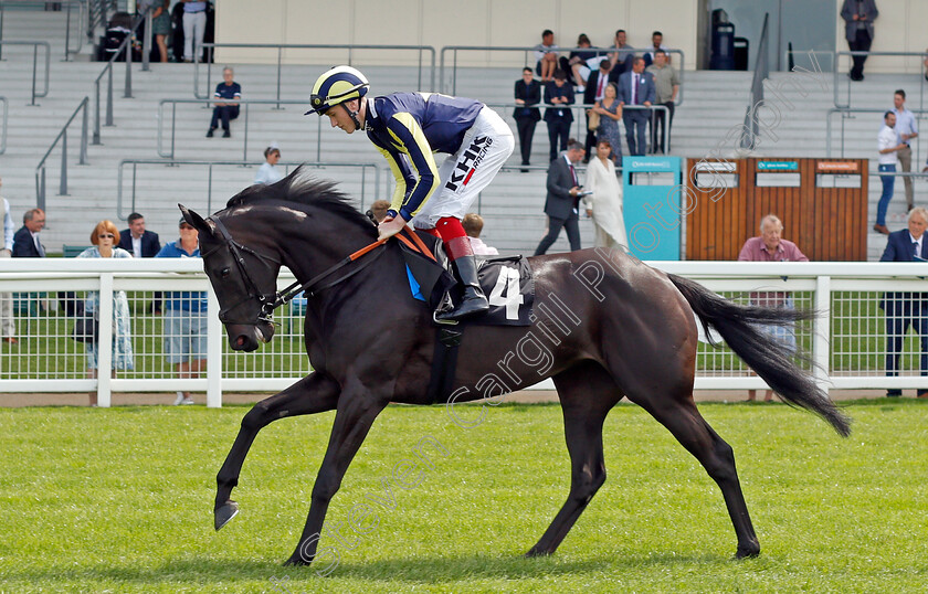 Waliyak-0001 
 WALIYAK (David Egan)
Ascot 23 Jul 2021 - Pic Steven Cargill / Racingfotos.com