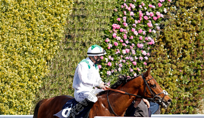 Youth-Spirit-0010 
 YOUTH SPIRIT (Tom Marquand) after The Chester Vase
Chester 5 May 2021 - Pic Steven Cargill / Racingfotos.com